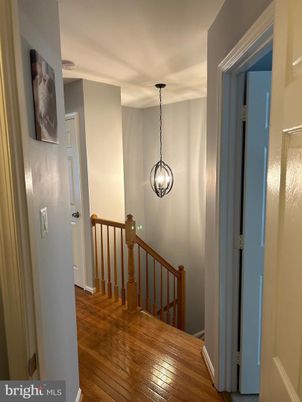 Interior, Pendant Lights, Wood Texture Flooring