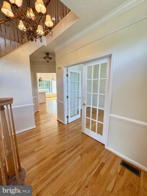 Chandelier, Interior, Wood Texture Flooring
