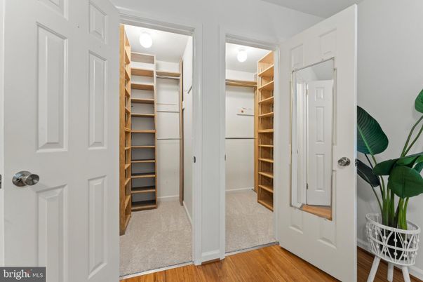 Interior, Walk-in Closets, Wood Texture Flooring