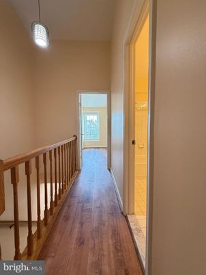 Interior, Pendant Lights, Wood Texture Flooring