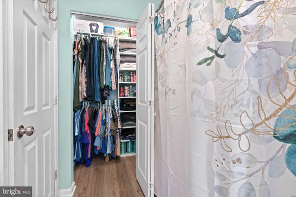 Interior, Walk-in Closets, Wood Texture Flooring