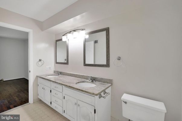 Bathroom, Dual Sink Vanities, Interior, Wood Texture Flooring