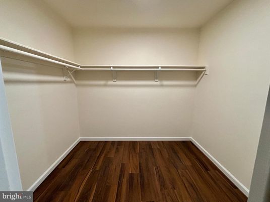 Interior, Walk-in Closets, Wood Texture Flooring