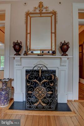 Fireplace, Interior, Wood Texture Flooring