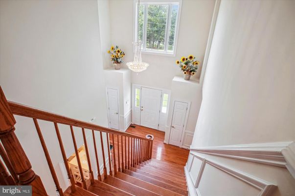 Chandelier, Interior, Wood Texture Flooring