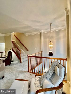 Interior, Pendant Lights