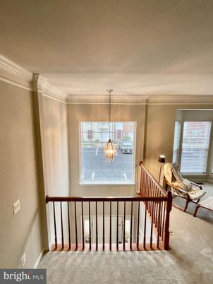 Interior, Pendant Lights