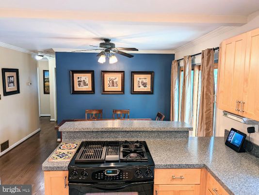 Dining room, Interior, Kitchen, Wood Texture Flooring