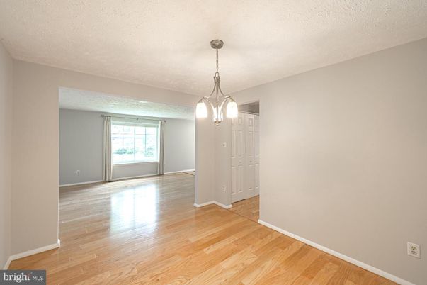 Empty room, Interior, Pendant Lights, Wood Texture Flooring