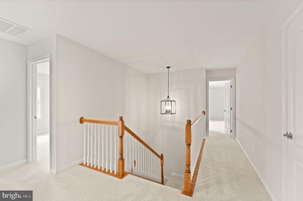 Interior, Pendant Lights