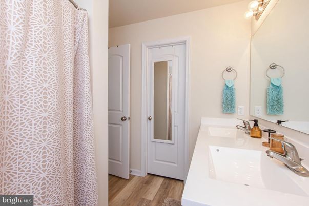Bathroom, Dual Sink Vanities, Interior, Wood Texture Flooring