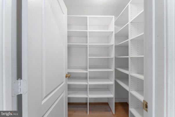 Interior, Walk-in Closets, Wood Texture Flooring