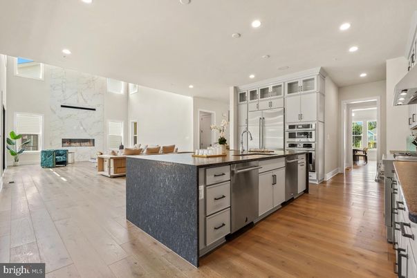 Fireplace, Interior, Kitchen, Marble Walls, Recessed Lighting, Stainless Steel Appliances, Wood Texture Flooring