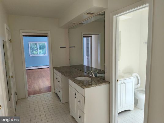 Bathroom, Dual Sink Vanities, Interior, Wood Texture Flooring