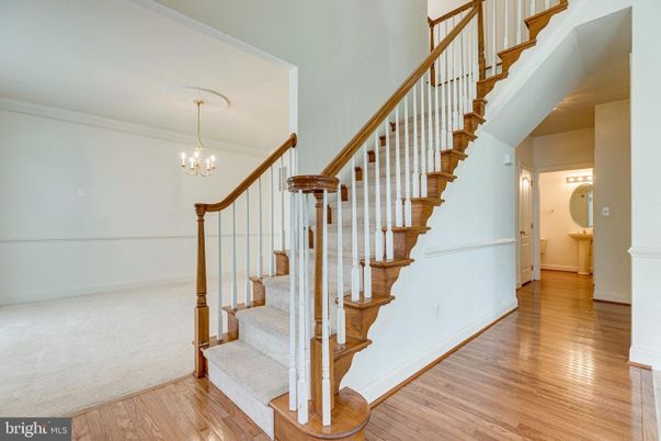 Chandelier, Interior, Wood Texture Flooring