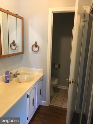 Bathroom, Dual Sink Vanities, Interior, Wood Texture Flooring