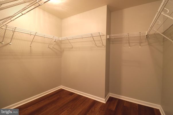 Interior, Walk-in Closets, Wood Texture Flooring