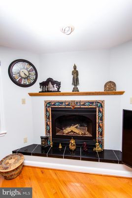 Fireplace, Interior, Wood Texture Flooring
