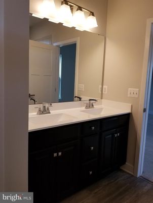 Bathroom, Dual Sink Vanities, Interior, Wood Texture Flooring