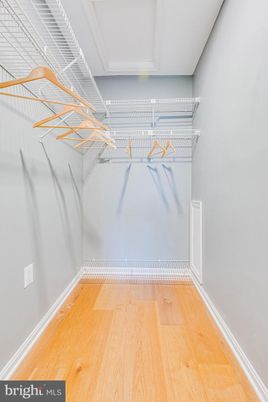 Interior, Walk-in Closets, Wood Texture Flooring