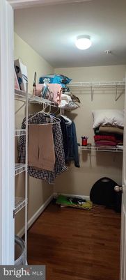 Interior, Walk-in Closets, Wood Texture Flooring