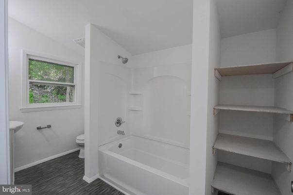 Bathroom, Interior, Wood Texture Flooring