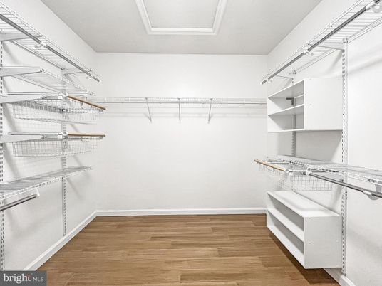 Interior, Walk-in Closets, Wood Texture Flooring