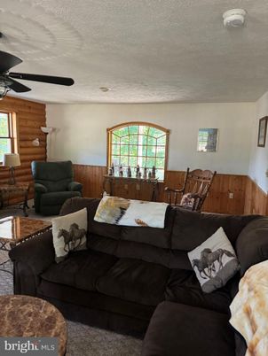 Interior, Living room, Wooden Walls
