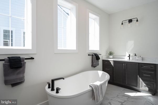 Bathroom, Free Standing Baths, Interior, Marble