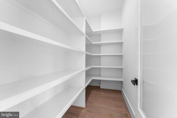 Interior, Walk-in Closets, Wood Texture Flooring