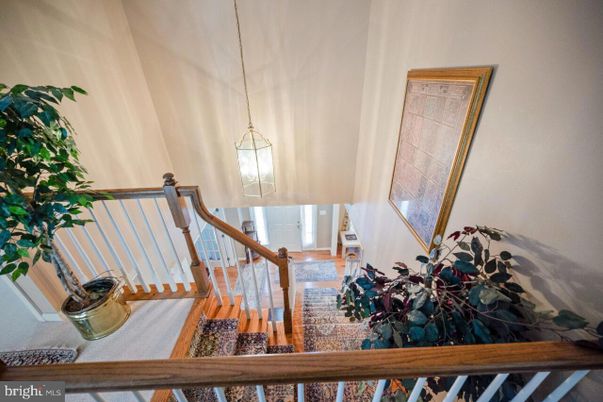 Interior, Pendant Lights