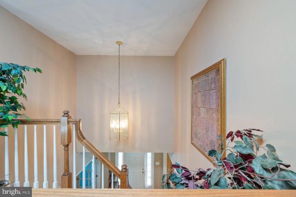 Interior, Pendant Lights