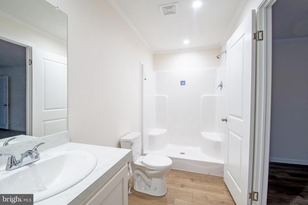 Bathroom, Interior, Recessed Lighting, Wood Texture Flooring