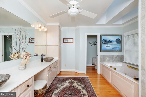 Bathroom, Interior, Wood Texture Flooring