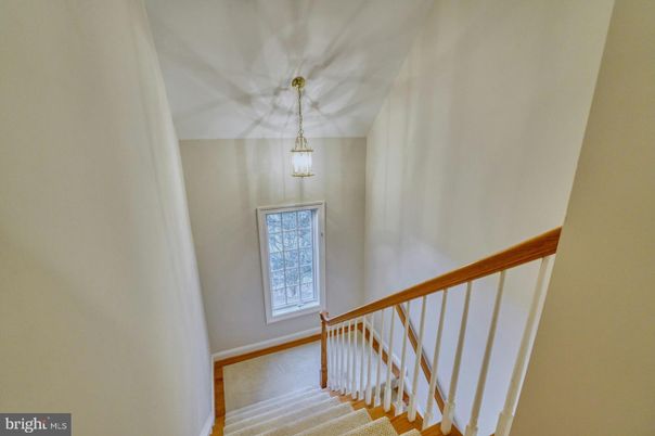 Interior, Pendant Lights
