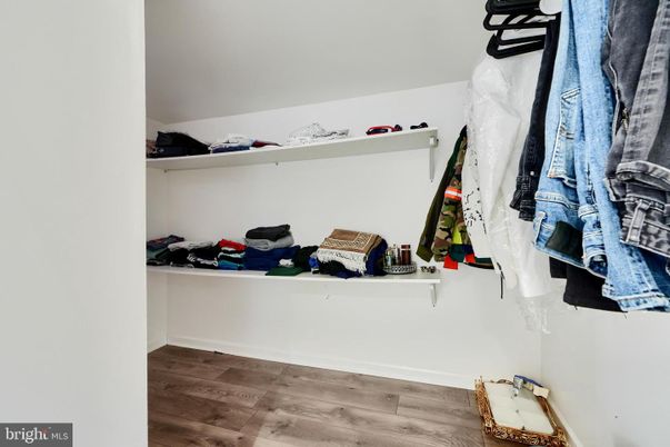 Interior, Walk-in Closets, Wood Texture Flooring
