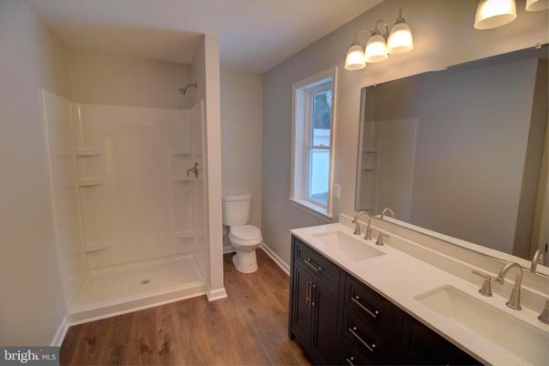 Bathroom, Dual Sink Vanities, Interior, Wood Texture Flooring