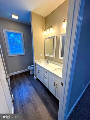 Bathroom, Dual Sink Vanities, Interior, Wood Texture Flooring