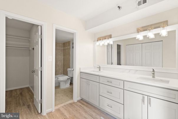 Bathroom, Dual Sink Vanities, Interior, Wood Texture Flooring