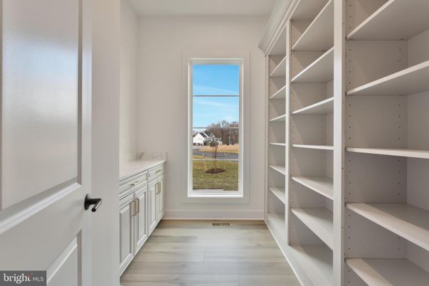 Interior, Walk-in Closets, Wood Texture Flooring