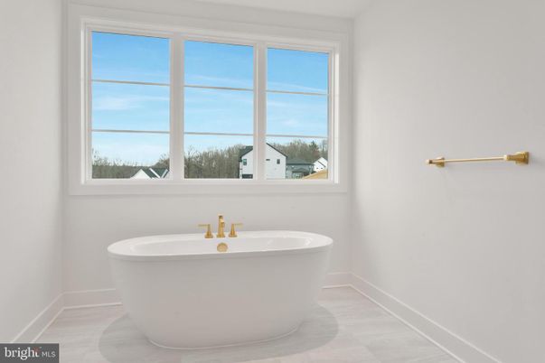 Bathroom, Free Standing Baths, Interior
