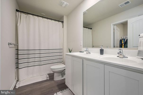Bathroom, Dual Sink Vanities, Interior, Wood Texture Flooring