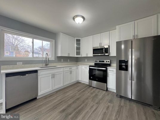 Interior, Kitchen, Stainless Steel Appliances, Wood Texture Flooring