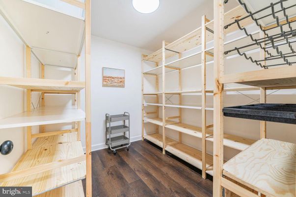 Interior, Walk-in Closets, Wood Texture Flooring