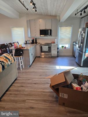 Interior, Kitchen, Stainless Steel Appliances, Wood Texture Flooring