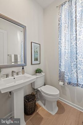 Bathroom, Interior, Wood Texture Flooring