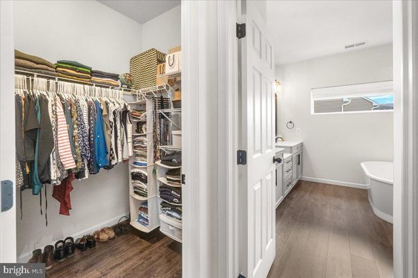 Bathroom, Interior, Walk-in Closets, Wood Texture Flooring