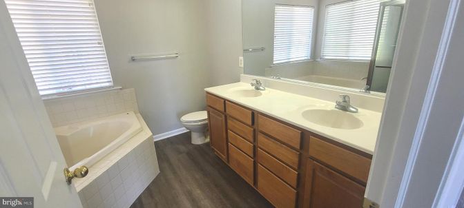 Bathroom, Dual Sink Vanities, Interior, Wood Texture Flooring