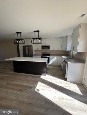 Interior, Kitchen, Stainless Steel Appliances, Wood Texture Flooring