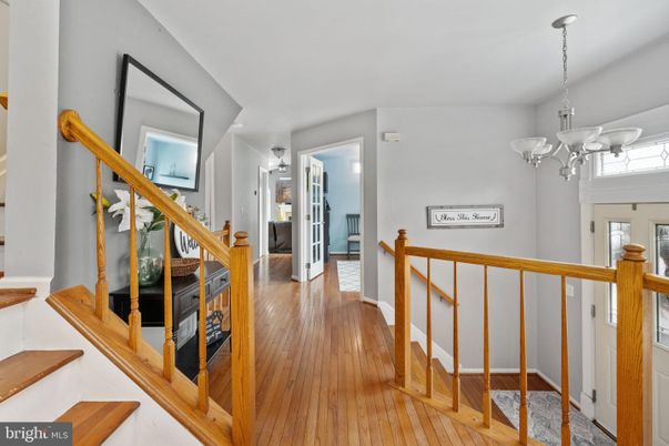 Chandelier, Interior, Wood Texture Flooring